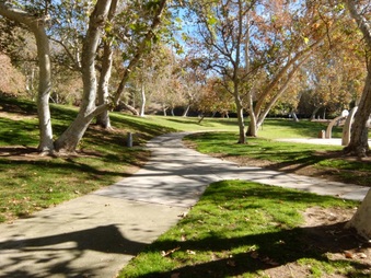 Enlarge photo 10