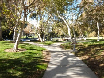 Enlarge photo 14