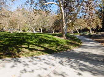 Enlarge photo 21