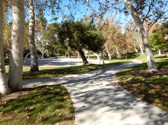 Enlarge photo 22