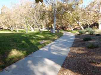 Enlarge photo 23