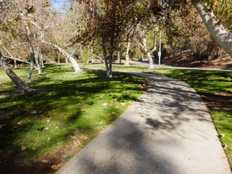 Enlarge photo 25