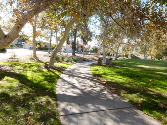Enlarge photo 27