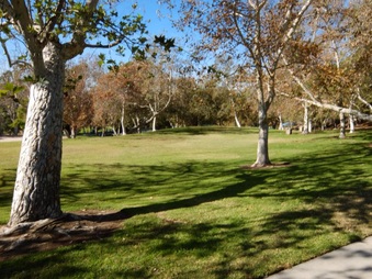 Enlarge photo 28