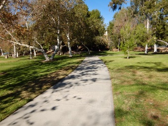Enlarge photo 29