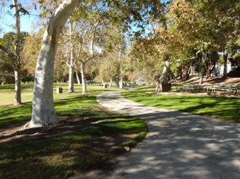 Enlarge photo 30