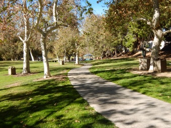 Enlarge photo 33