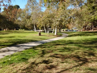 Enlarge photo 35