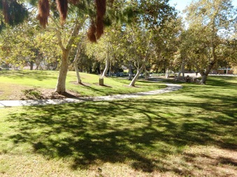 Enlarge photo 36
