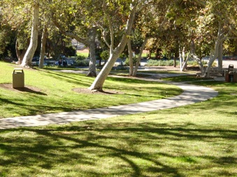 Enlarge photo 37