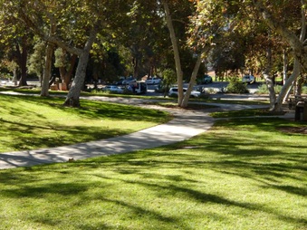 Enlarge photo 38