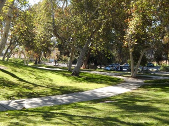 Enlarge photo 39