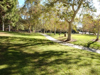 Enlarge photo 40