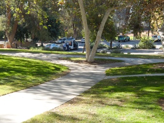 Enlarge photo 41