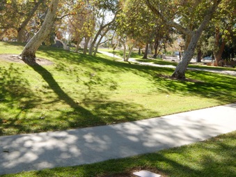 Enlarge photo 42