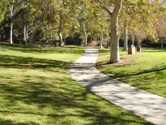 Enlarge photo 43