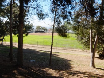 Enlarge photo 48