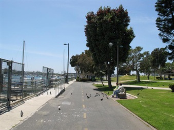 Enlarge photo 8