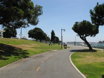 Enlarge photo 24