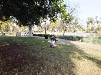 Enlarge photo 10