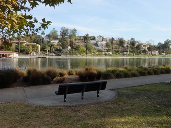 Enlarge photo 16