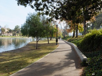 Enlarge photo 23