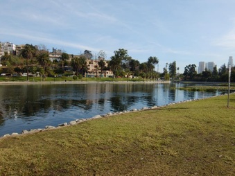Enlarge photo 31