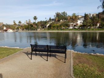 Enlarge photo 35