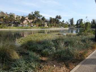 Enlarge photo 36
