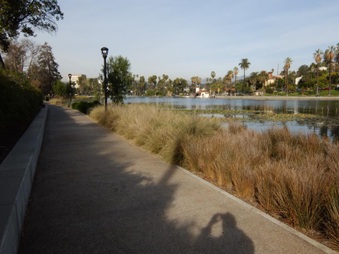 Enlarge photo 38