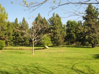 Enlarge photo 36
