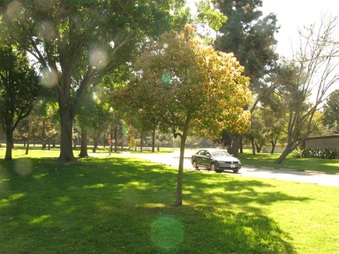 Enlarge photo 37