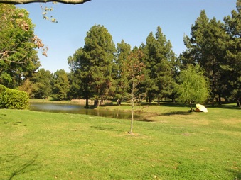 Enlarge photo 38