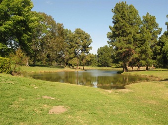 Enlarge photo 39