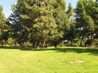 Enlarge photo 40