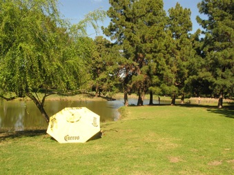 Enlarge photo 42