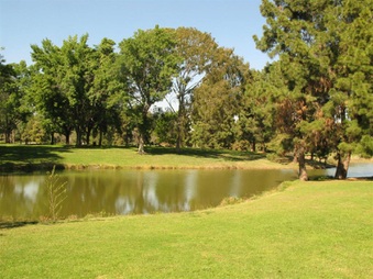 Enlarge photo 43