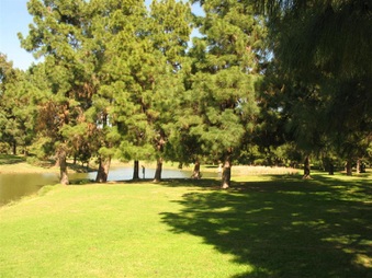 Enlarge photo 44