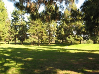 Enlarge photo 45