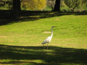Enlarge photo 46