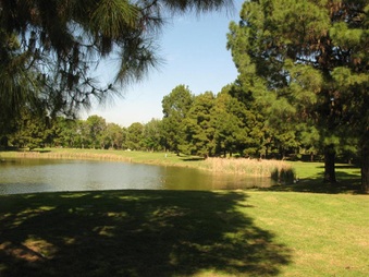 Enlarge photo 47