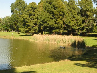 Enlarge photo 49