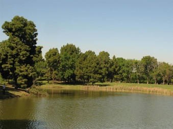 Enlarge photo 50