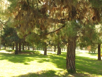 Enlarge photo 51