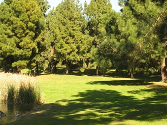 Enlarge photo 52