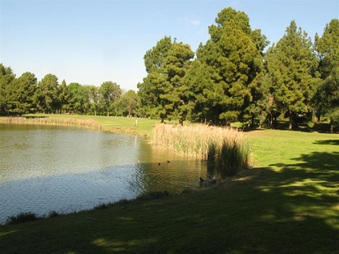 Enlarge photo 53