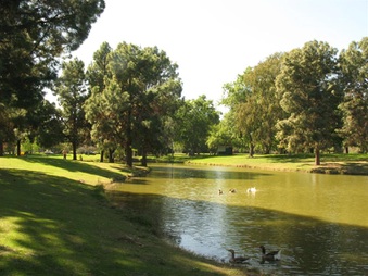 Enlarge photo 54