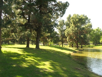 Enlarge photo 55
