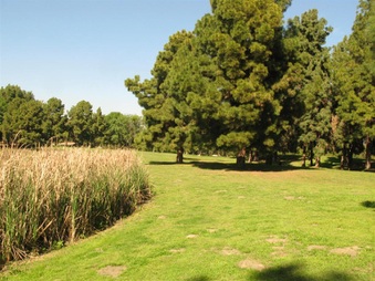 Enlarge photo 56