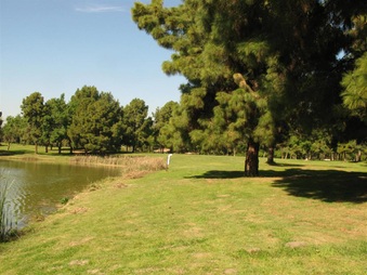 Enlarge photo 57